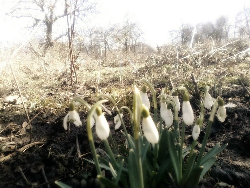 №172, Виктория Нетеча, Городок №172, Виктория Нетеча, Городок