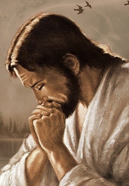 Віталік Чубрей | Черновцы