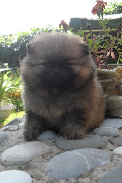 Анна Матренинская | Красноярск