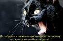 №33 Татьяна Кузьмичева 06.04.1989: профиль, фото, статус - ВКонтакте №33 Татьяна Кузьмичева 06.04.1989: профиль, фото, статус - ВКонтакте