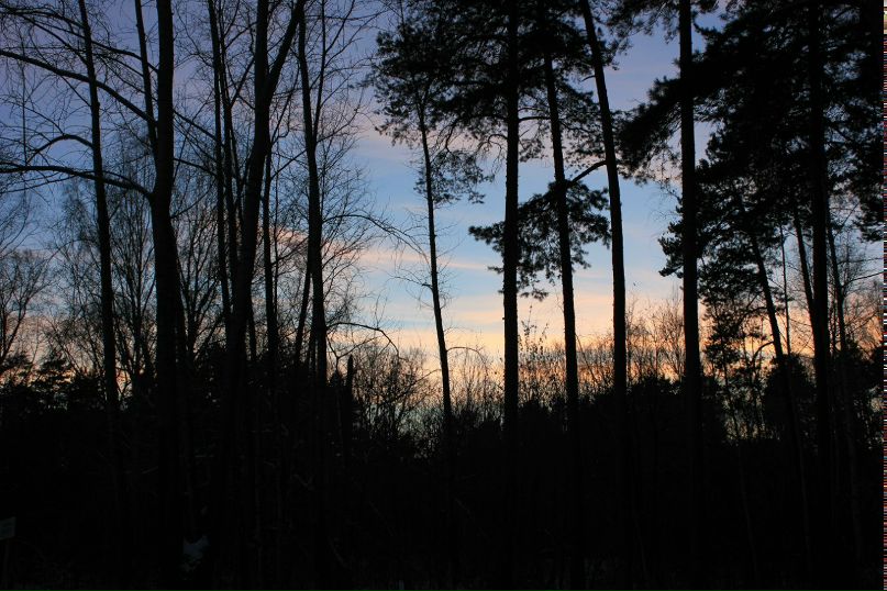 Илья Орлов bandit™ | Екатеринбург