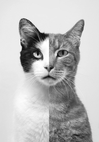 Артем Ткаченко | Ростов-на-Дону