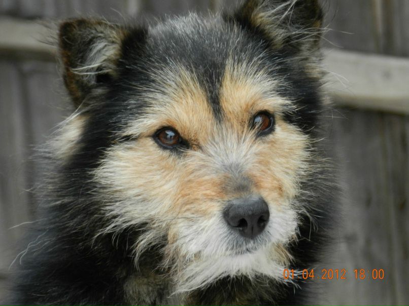 Алинчик Корнилова мама ВАЛЕРИИ, ВАСИЛИСЫ и ВИТАЛИКА | Чебоксары