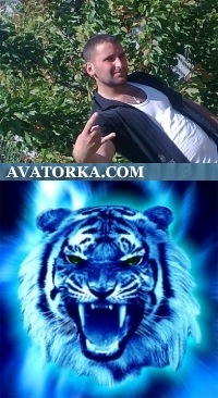 №56, Виталий Павловский, Киев №56, Виталий Павловский, Киев