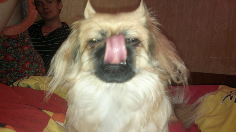 Олена Вакулич ♥ | Киев