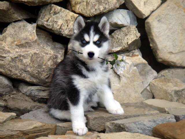 Евгений Алексеев | Нижний Тагил