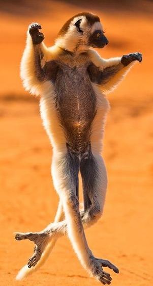 Иван Русский Ru1n | Волгоград