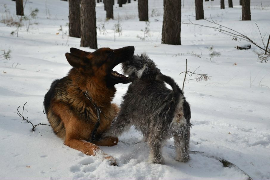 №135, Алина Рубина, 40 лет, Харьков №135, Алина Рубина, 40 лет, Харьков