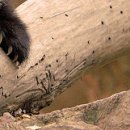 №9, Алина Деревянко, Харьков №9, Алина Деревянко, Харьков