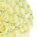 №31, Максим Тарасов, 37 лет, Казань №31, Максим Тарасов, 37 лет, Казань