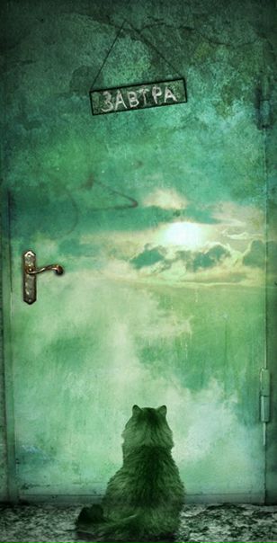 №52, Александр Минкин, Тамбов №52, Александр Минкин, Тамбов