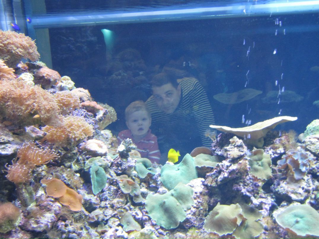 Константин Куков | Санкт-Петербург