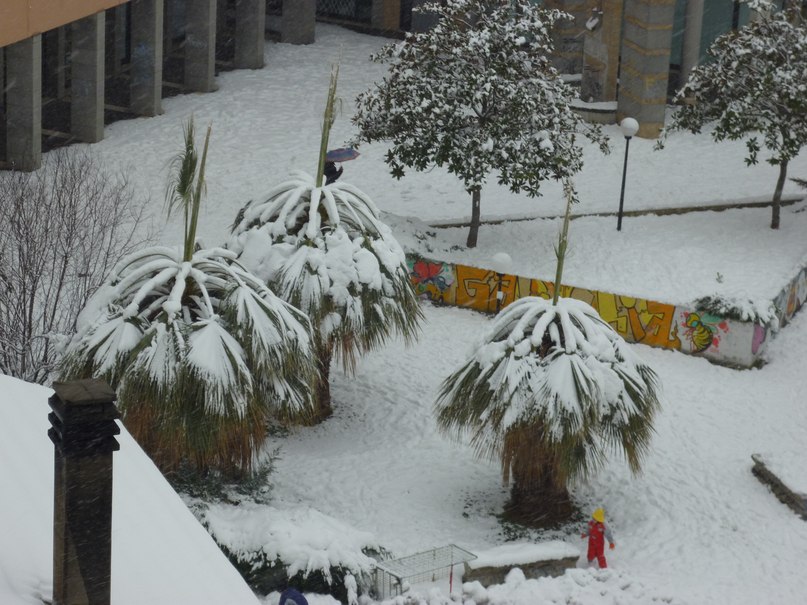 Марина волошина(ракита) | Pescara