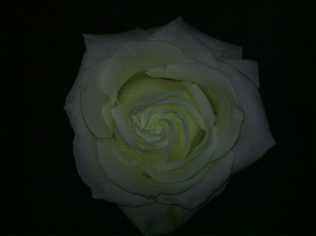 Яна Дацкая | Москва