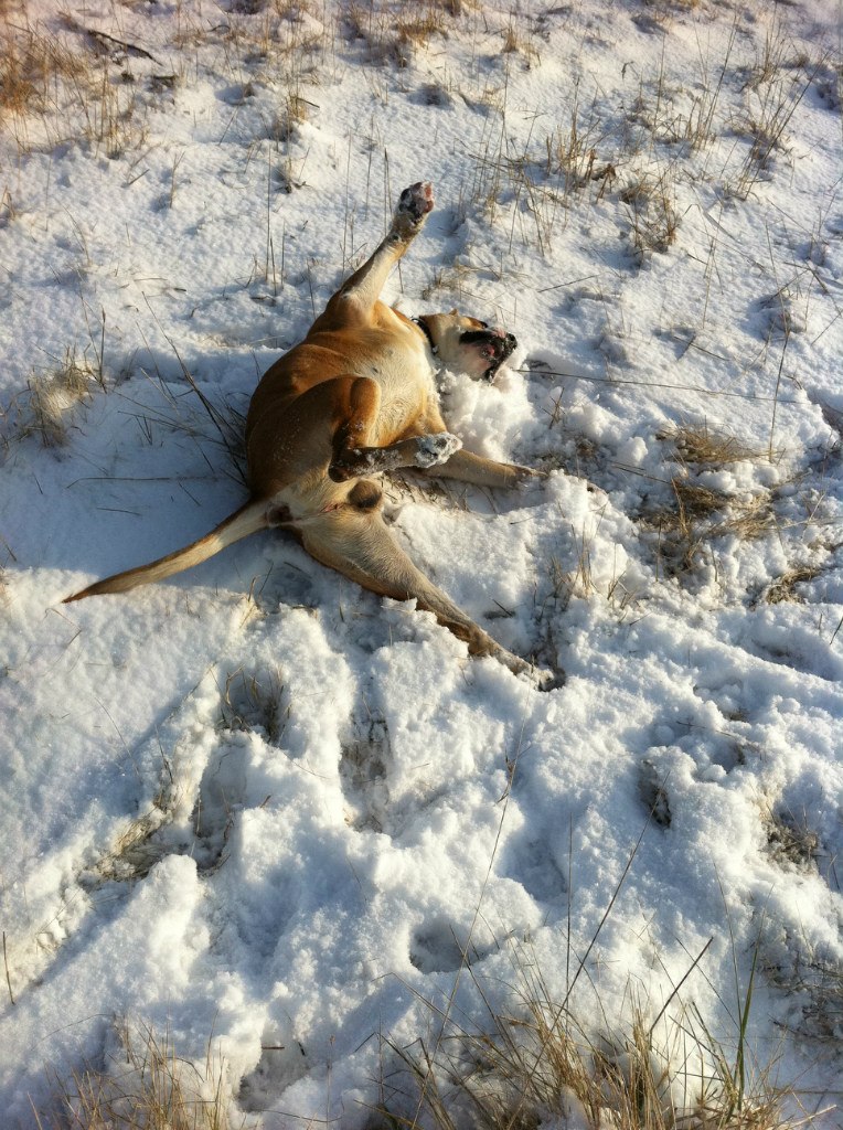 Наталія Гордей | Черновцы