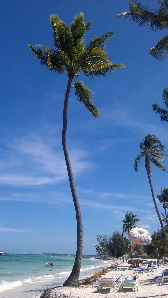 Иван Алексеев | Москва