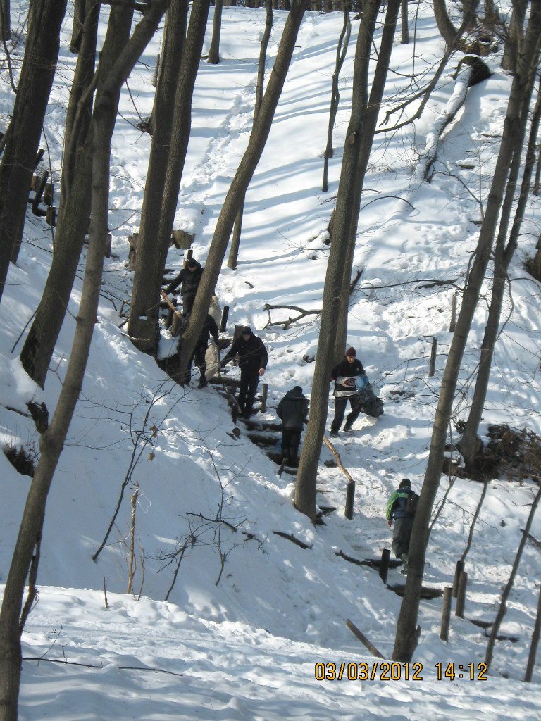 Юлия Горожанкина | Воронеж