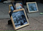 приют для животных в нижневартовске адреса и телефоны. Смотреть фото приют для животных в нижневартовске адреса и телефоны. Смотреть картинку приют для животных в нижневартовске адреса и телефоны. Картинка про приют для животных в нижневартовске адреса и телефоны. Фото приют для животных в нижневартовске адреса и телефоны приют для животных в нижневартовске адреса и телефоны. Смотреть фото приют для животных в нижневартовске адреса и телефоны. Смотреть картинку приют для животных в нижневартовске адреса и телефоны. Картинка про приют для животных в нижневартовске адреса и телефоны. Фото приют для животных в нижневартовске адреса и телефоны