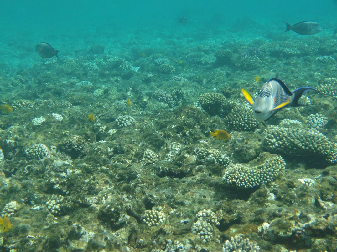 Ольга Шкитина | Тамбов