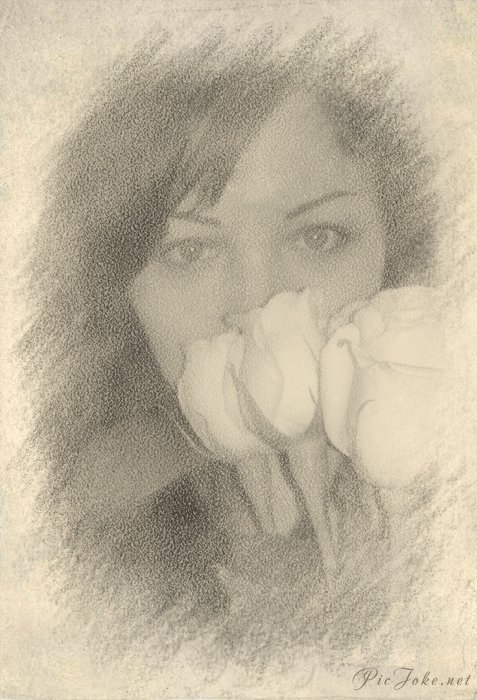 Дарья Декрет | Прилуки