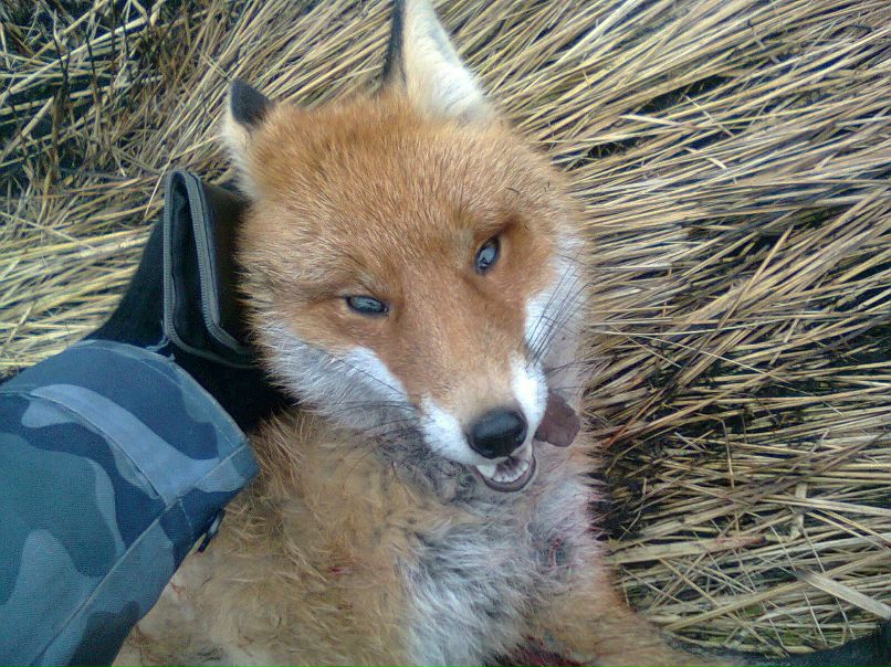 Павел Шумик Morozov | Днепр (Днепропетровск)