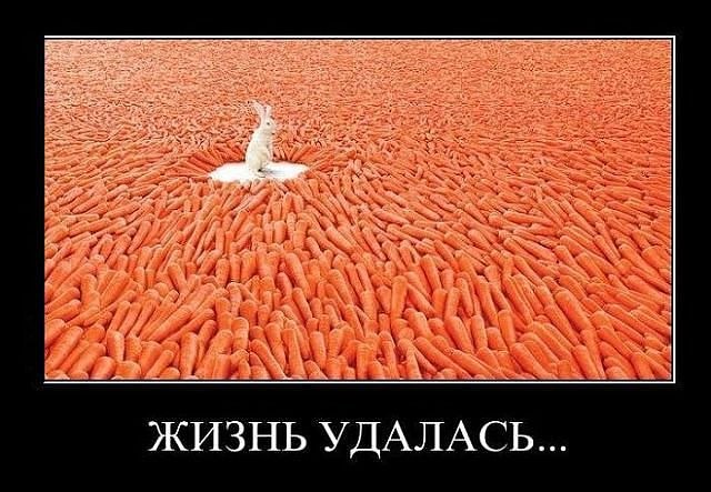 Юлия Зайцева | Владивосток