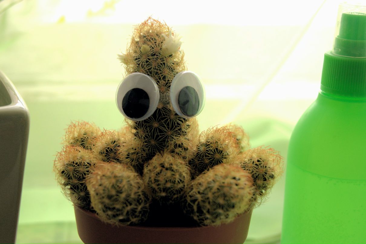 Иван Ведерников | Сургут