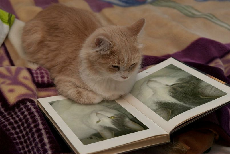 Юрий Сикин | Leuven