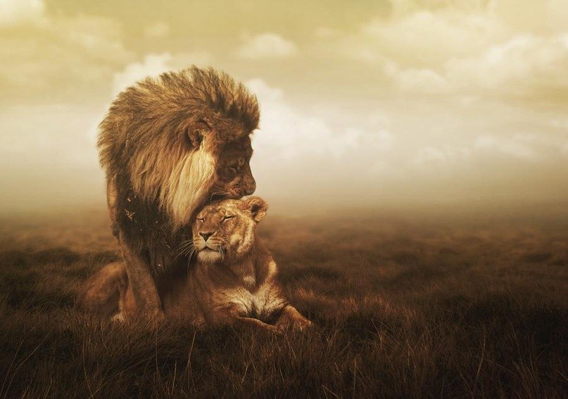 Tot Hustla | Москва