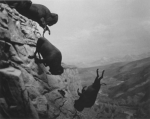 Светик Финогенова | Санкт-Петербург