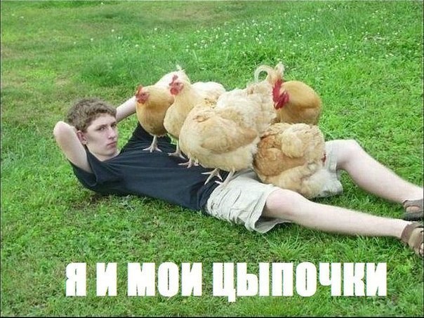 Сашик Ягубов | Симферополь