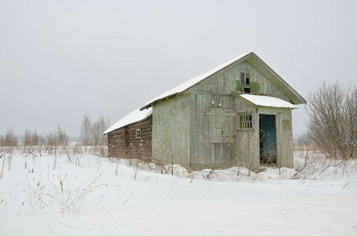 Екатерина Козлова | Москва