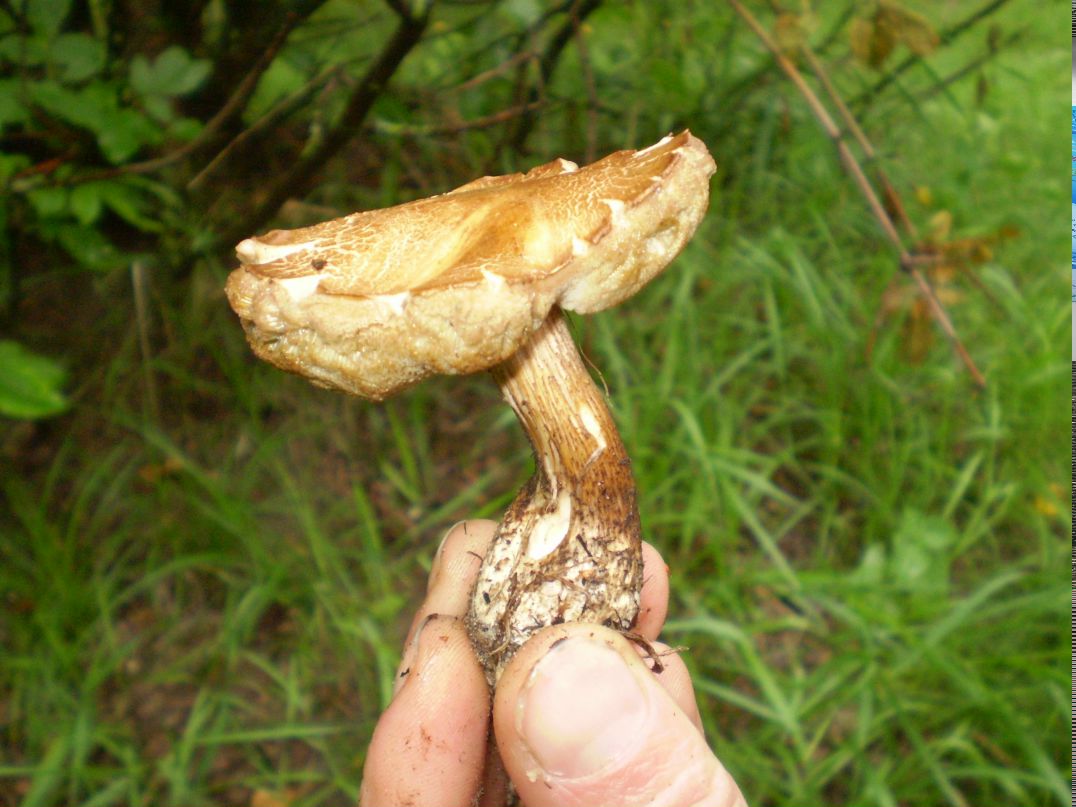 Дмитрий Кесь | Днепр (Днепропетровск)