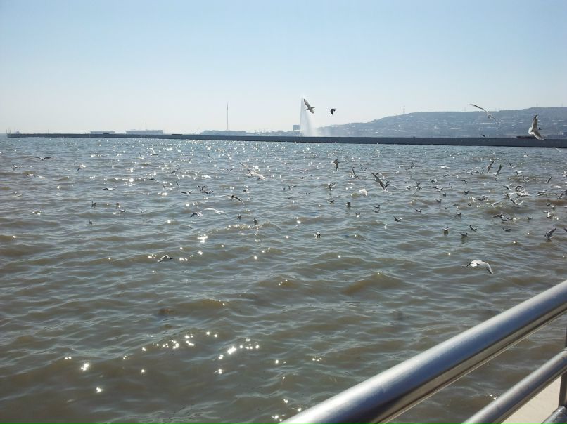 Leyla Asadova ♥ اﷲ ♥ | Баку