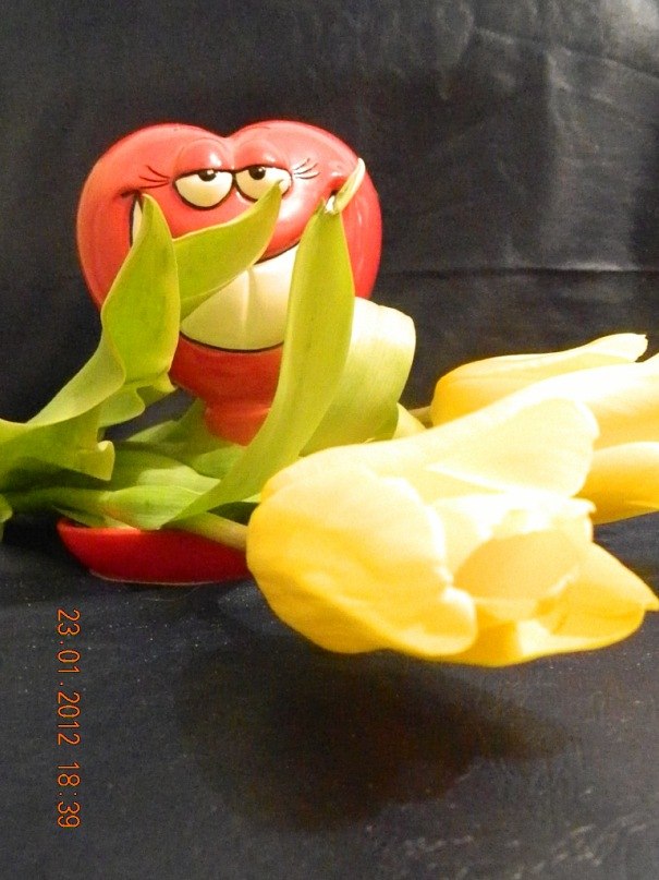 Галина Боженко | Геленджик