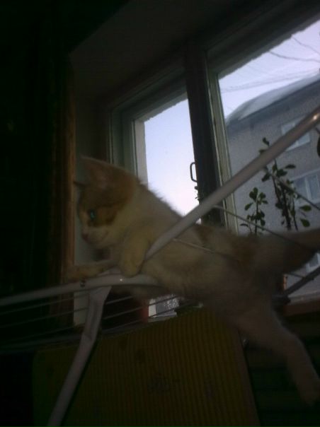 №95, Наталья Яниос, 48 лет, Пермь №95, Наталья Яниос, 48 лет, Пермь