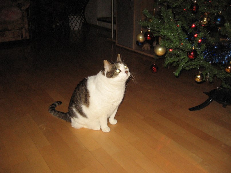 Татьяна Малева | Таллин