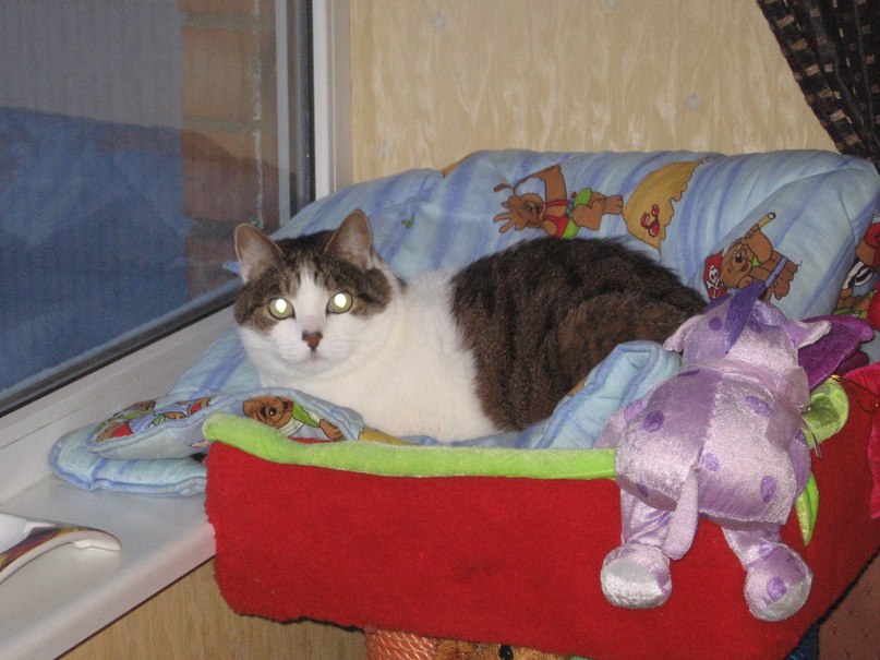 Татьяна Малева | Таллин