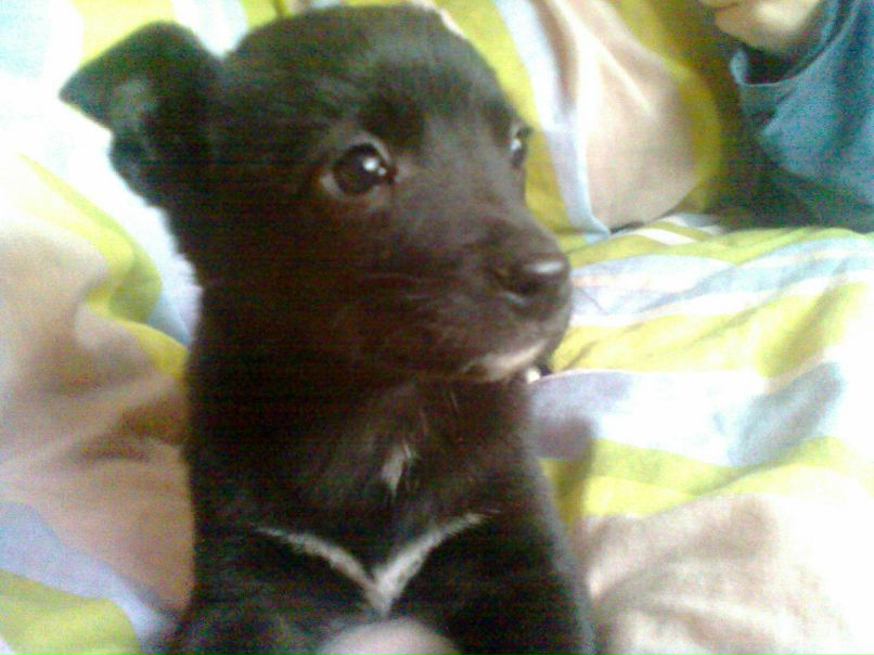 Санька Родионова | Москва