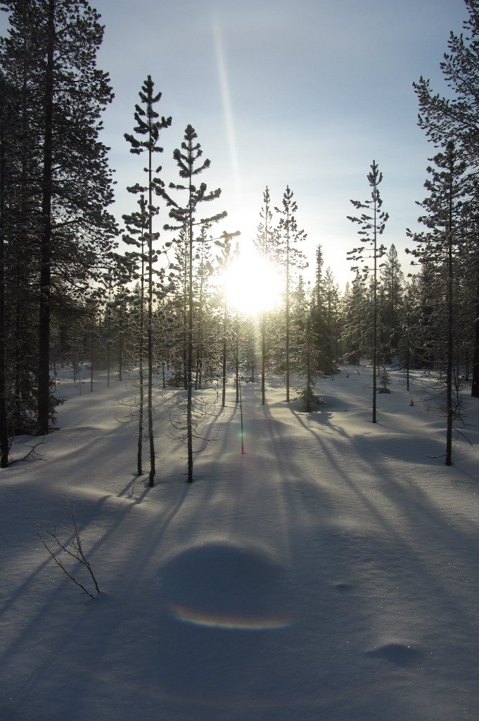 Арсений Петрик | Харьков
