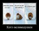 №6 Елена Панфилова 30.09.1986: профиль, фото, статус - ВКонтакте №6 Елена Панфилова 30.09.1986: профиль, фото, статус - ВКонтакте