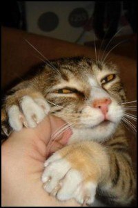 Анюточка Полышняя | Киев