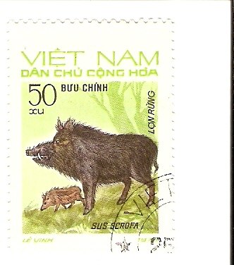 Жека Карпичев | Череповец