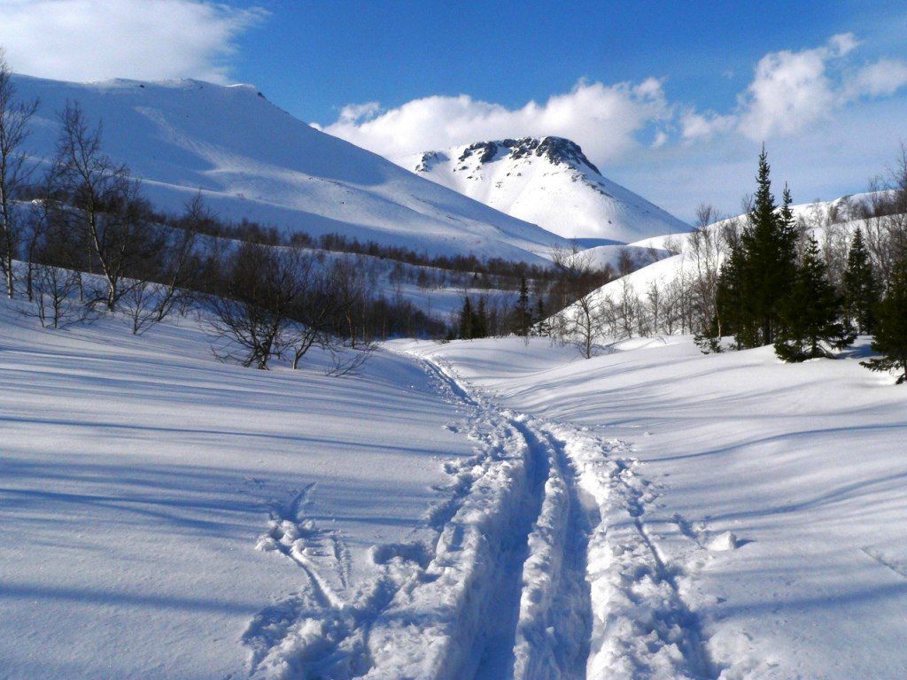 Дима Михалёв | Пермь
