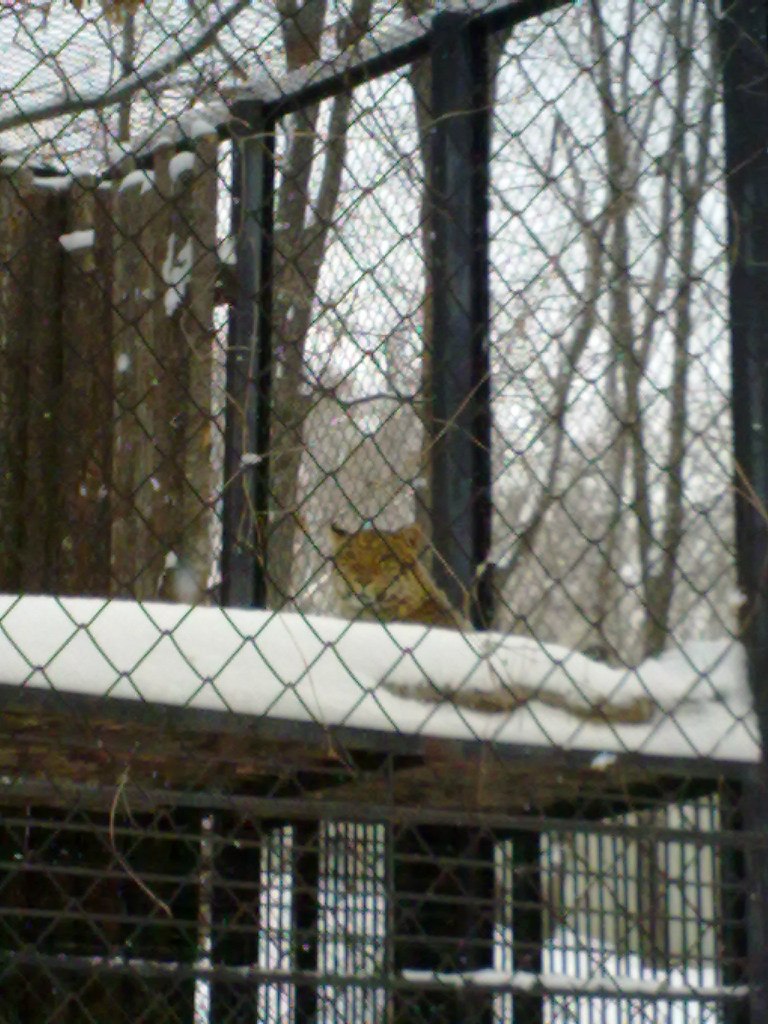 Валентин Пьянков | 