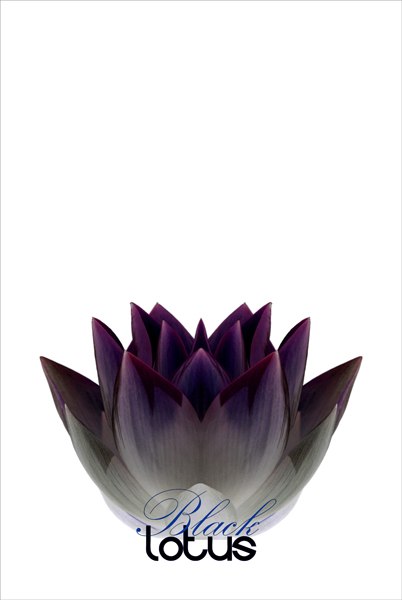 Юлия Быкова | Сыктывкар