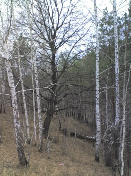 №35, Айвар Аминев, Октябрьский №35, Айвар Аминев, Октябрьский