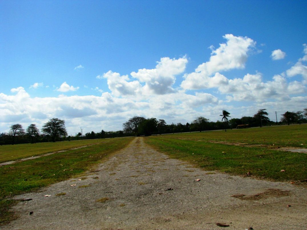 Алексей Черемисин | Москва