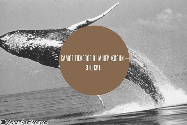 №175, Анастасия Селеменева, Анапа №175, Анастасия Селеменева, Анапа