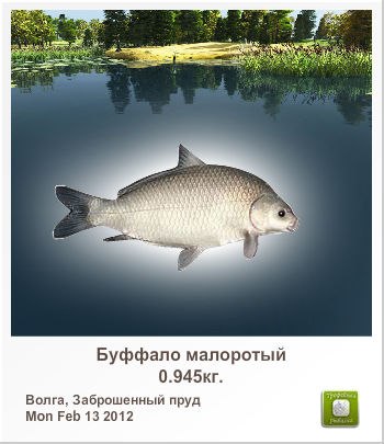 Илья Олейник Александравич | Ульяновск